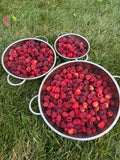JuJu’s Fresh Raspberry Pink Lemonade