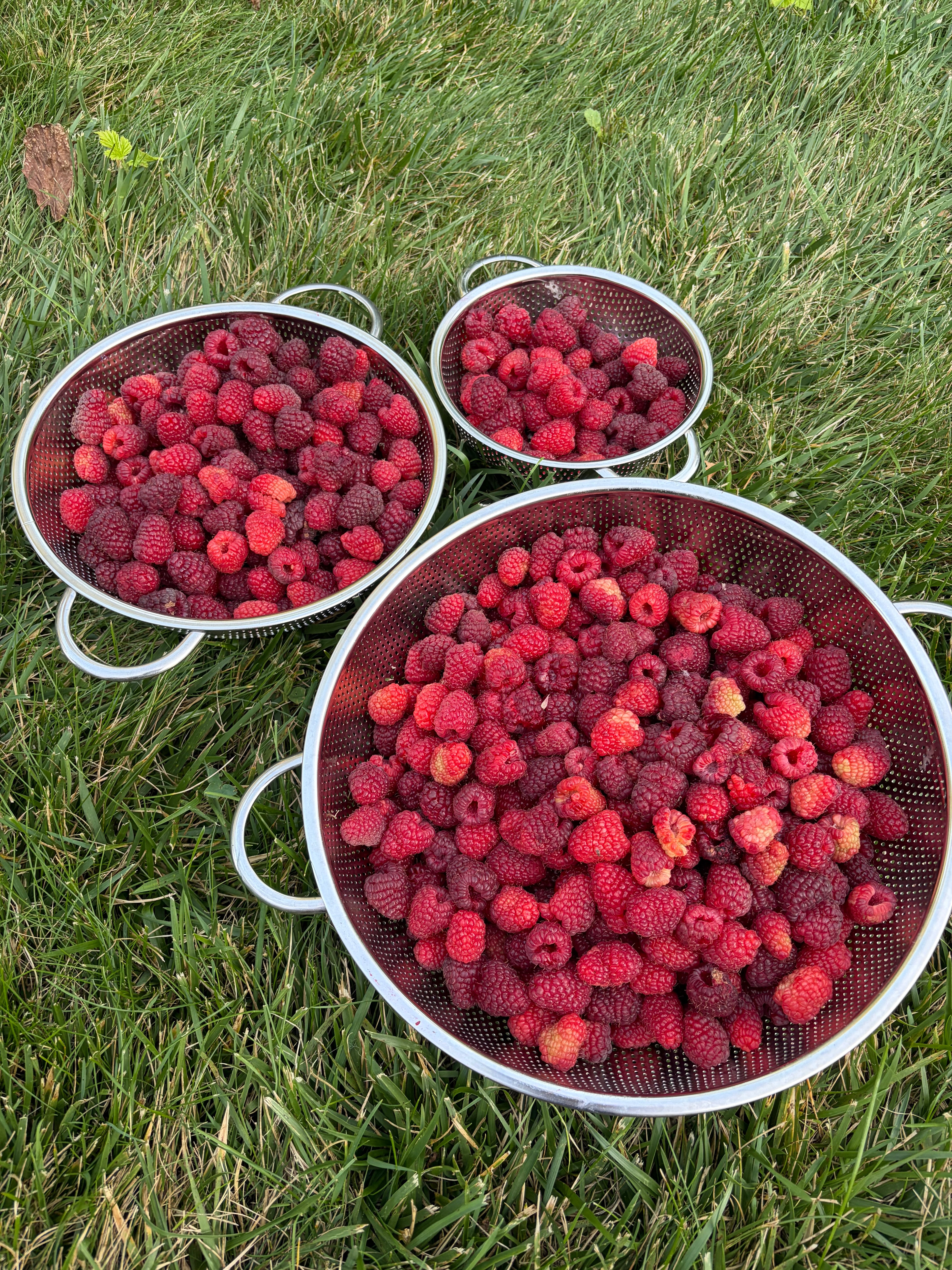 JuJu’s Fresh Raspberry Pink Lemonade